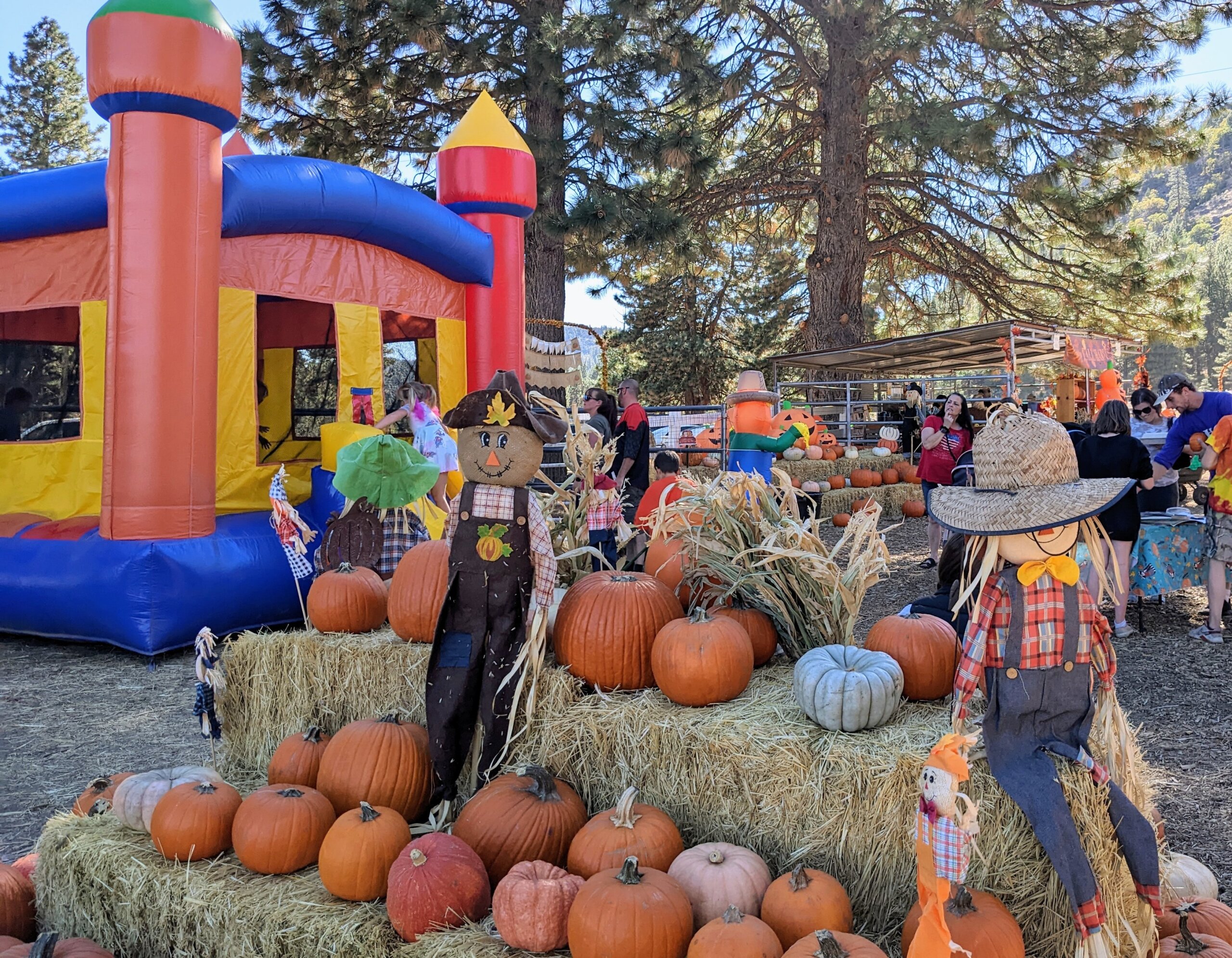 Lil' Megs Pumpkin Patch with Scarecrows