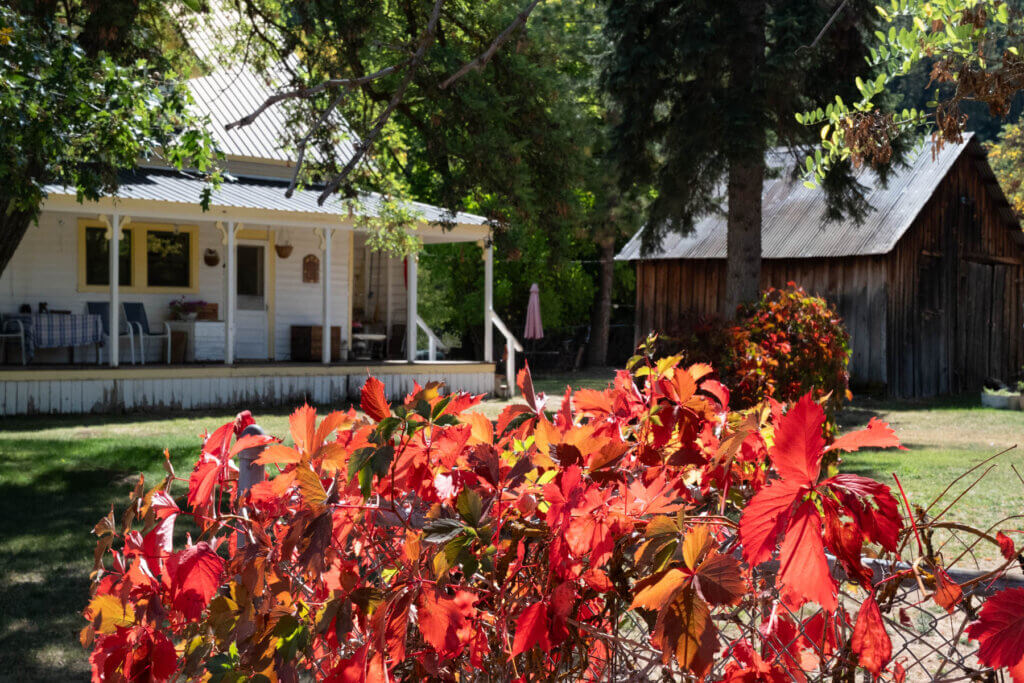 Quincy Fall Color