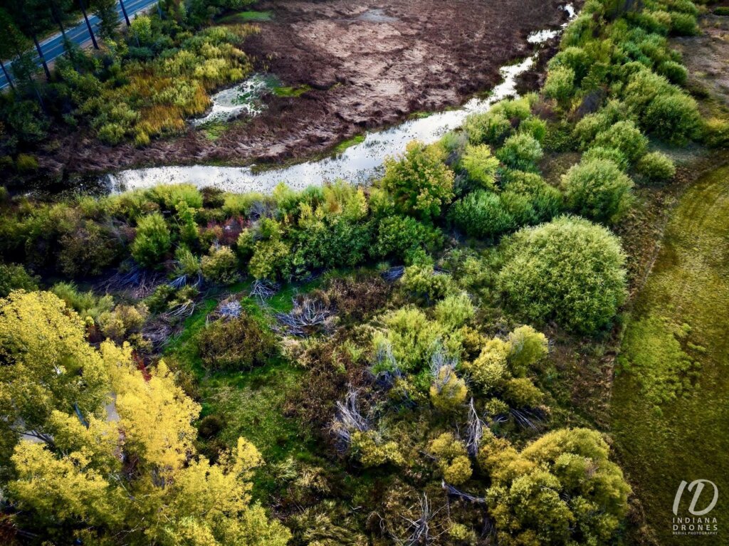 Aerial Fall colors