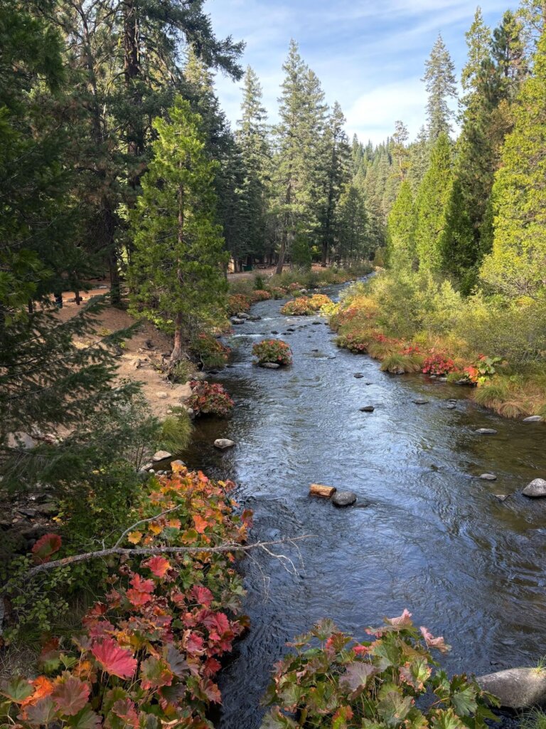 Mill Creek fall colors