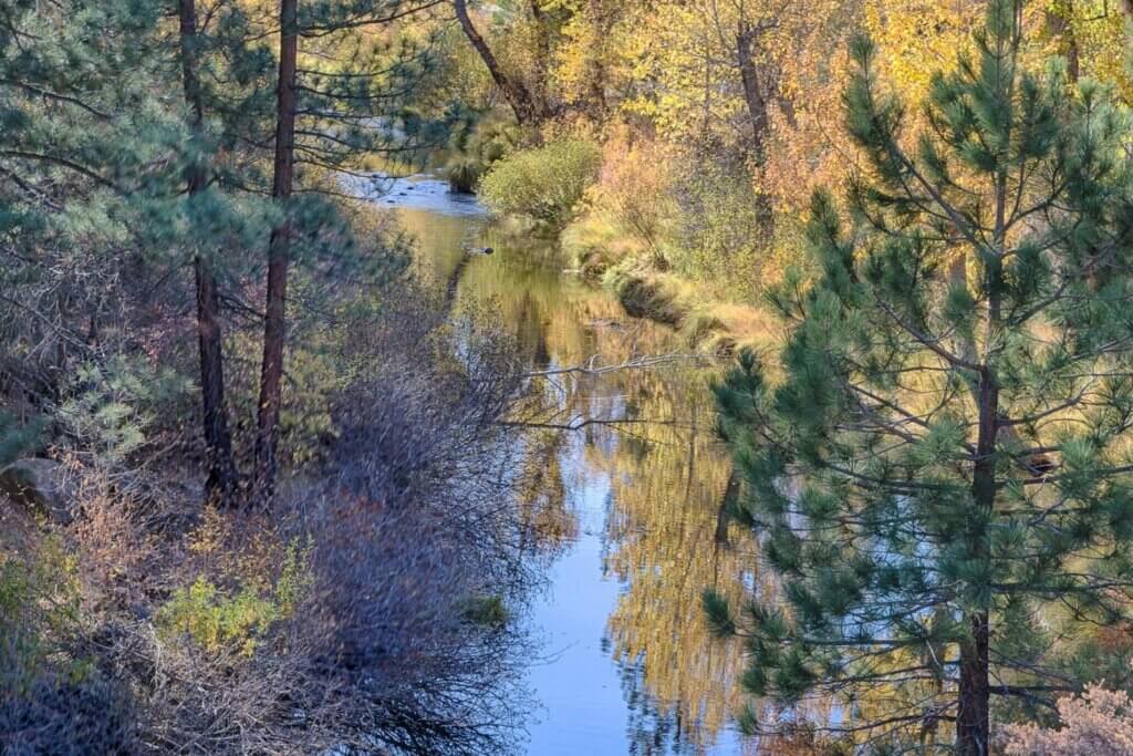 Reflection of Fall Colors in the Susan River next to the Bizz Johnson Trail
