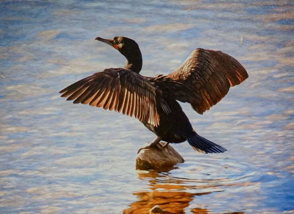 Photo by Bruce Titus