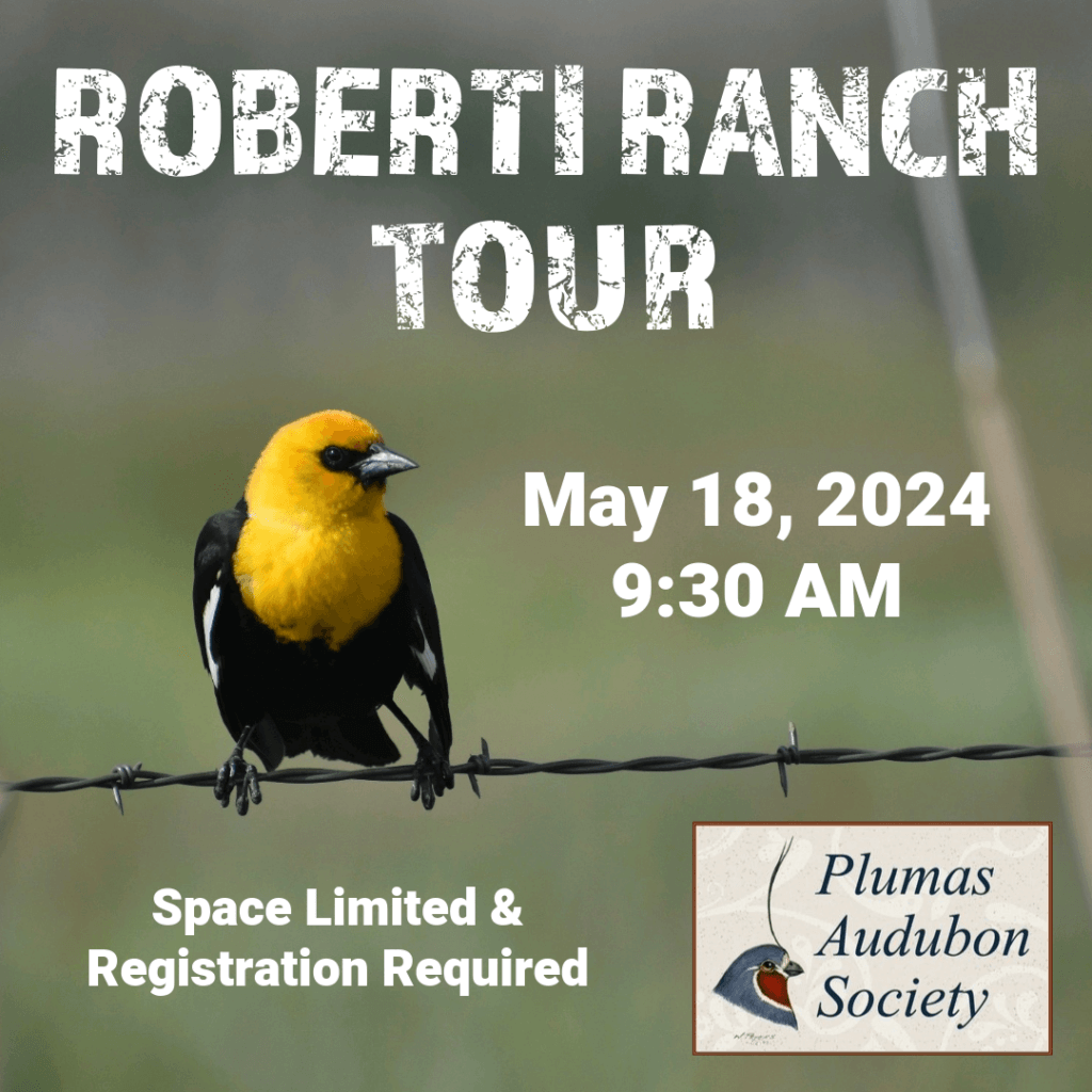 Roberti Ranch Tour Flyer