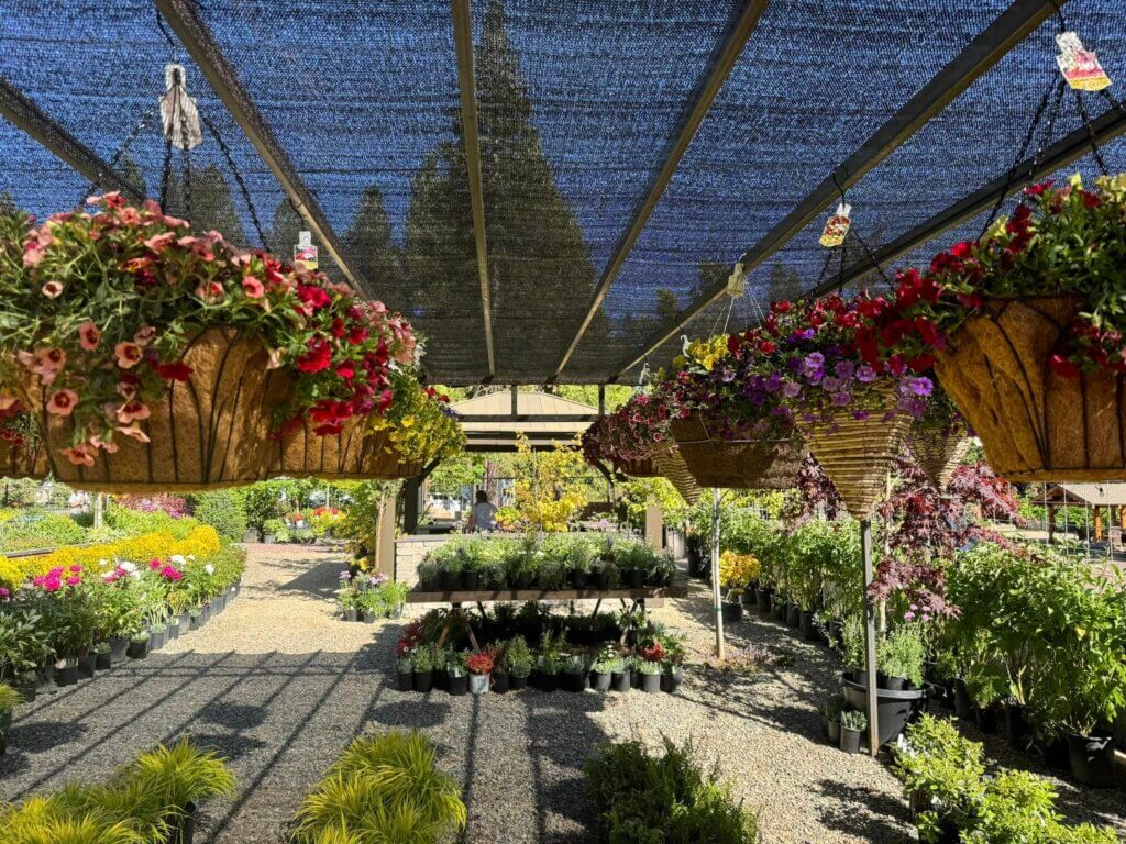 Bradford's Nursery