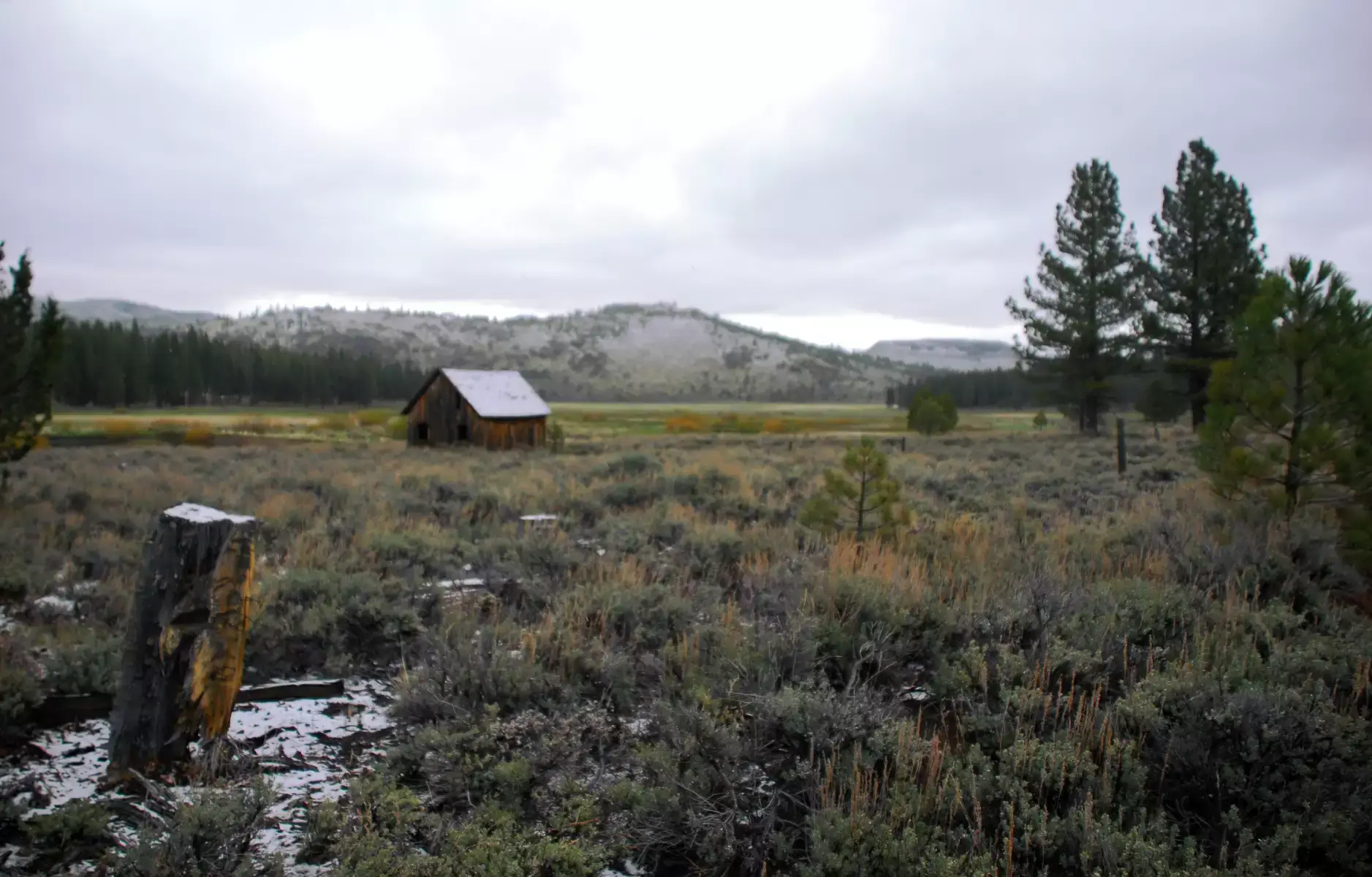 North Fork Campground