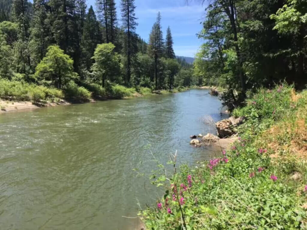 Feather River Canyon Cottage