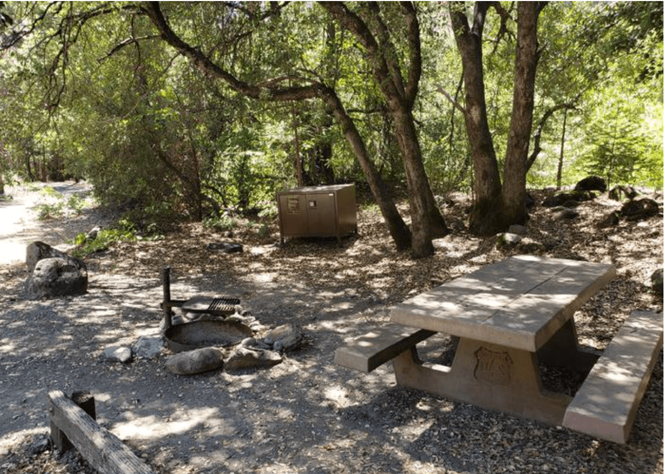 Queen Lily Campground | Plumas County California