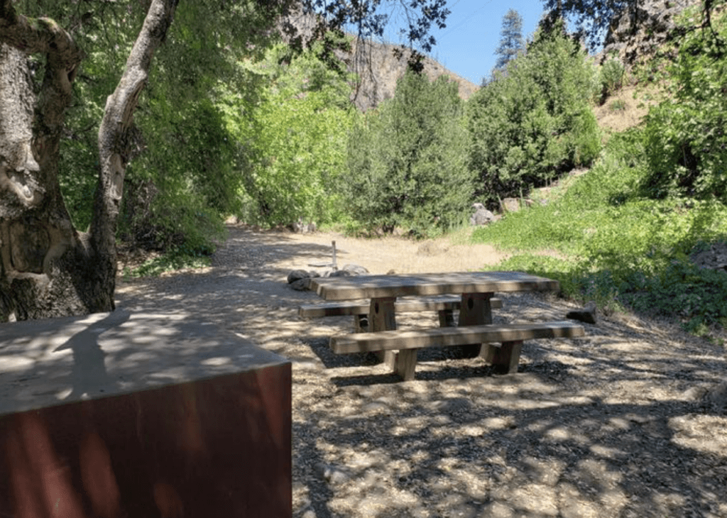 Queen Lily Campground | Plumas County California