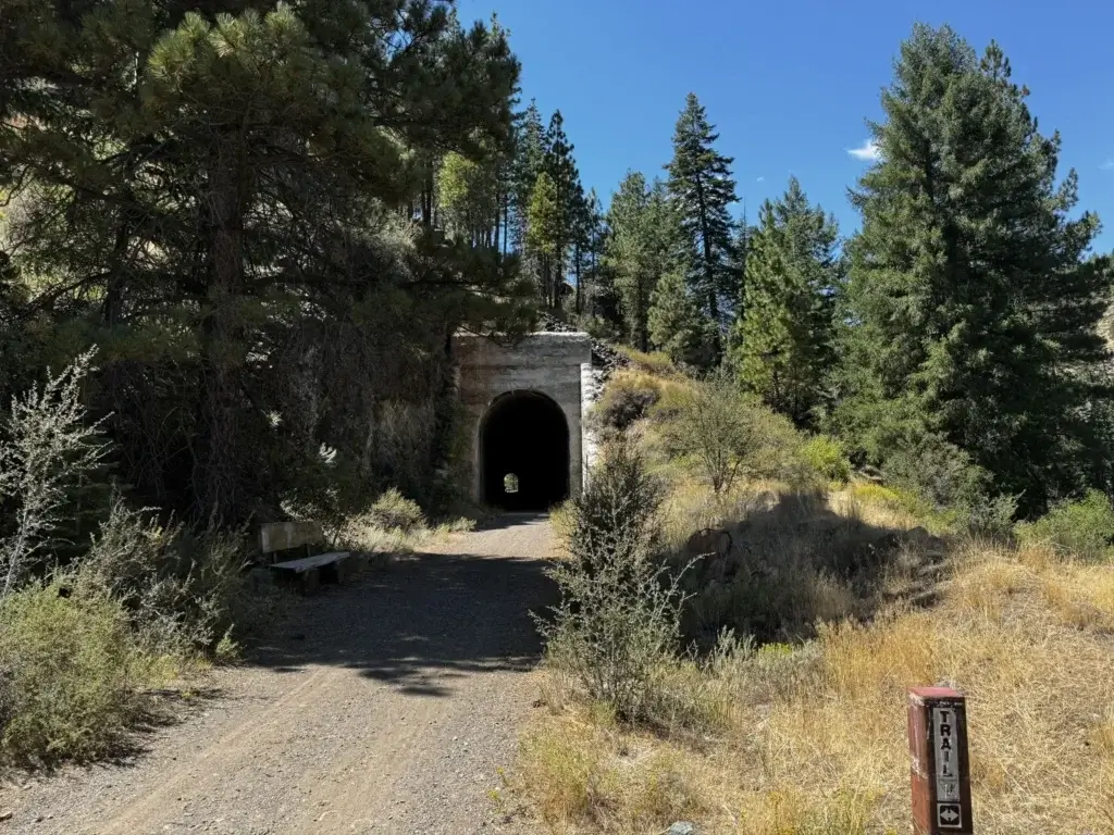 Bizz Johnson National Recreation tunnel