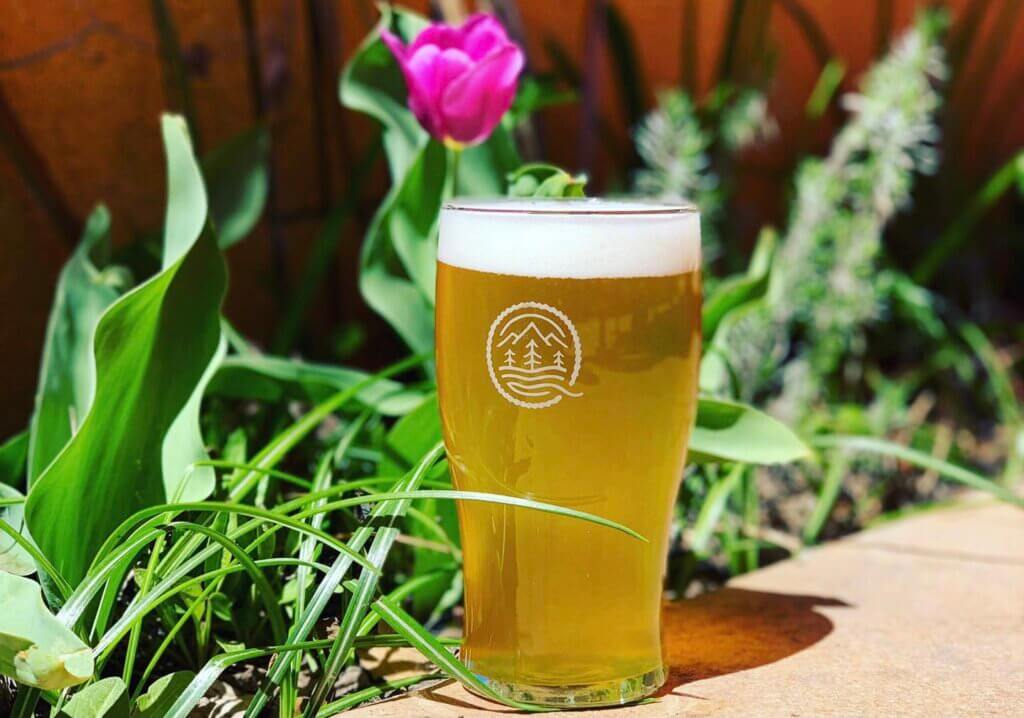 Quintopia beer mug