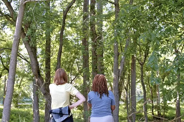 2 people praticing forest therapy