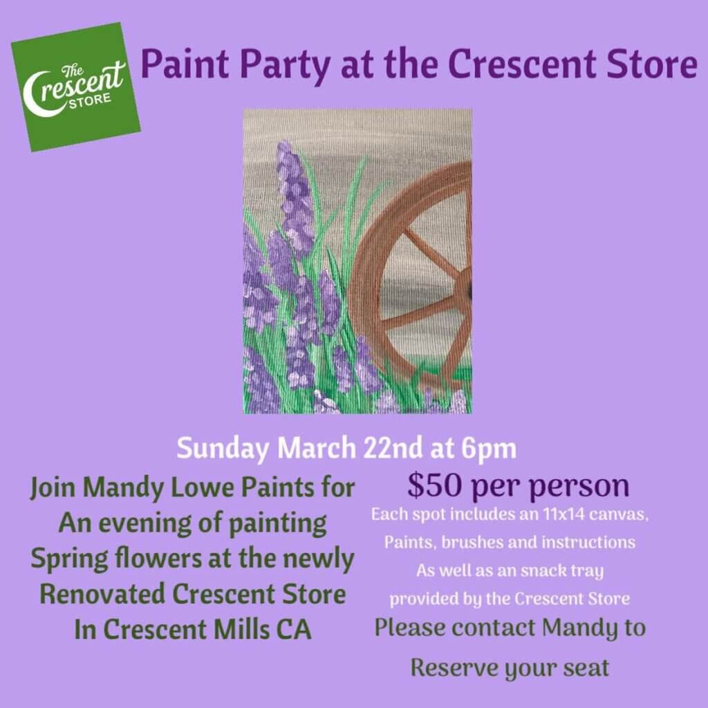 Crescent Store Paint Party flyer with Mandy Lowe Paints